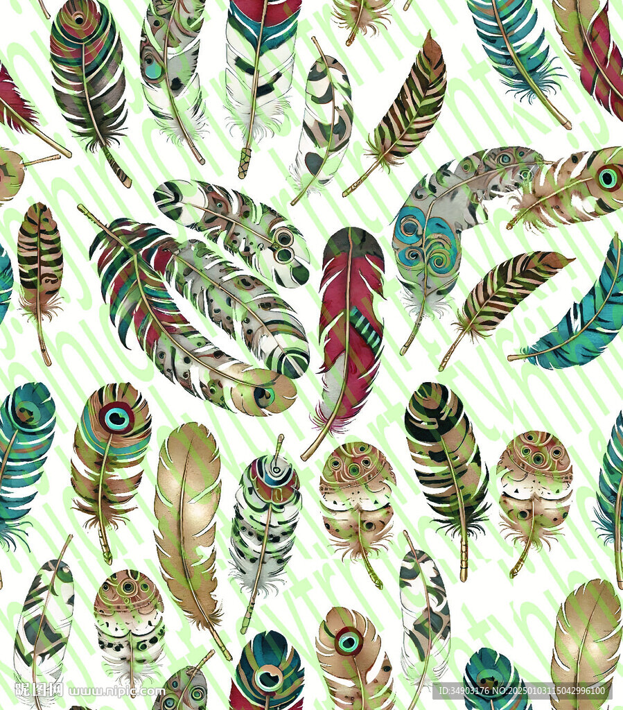 羽毛