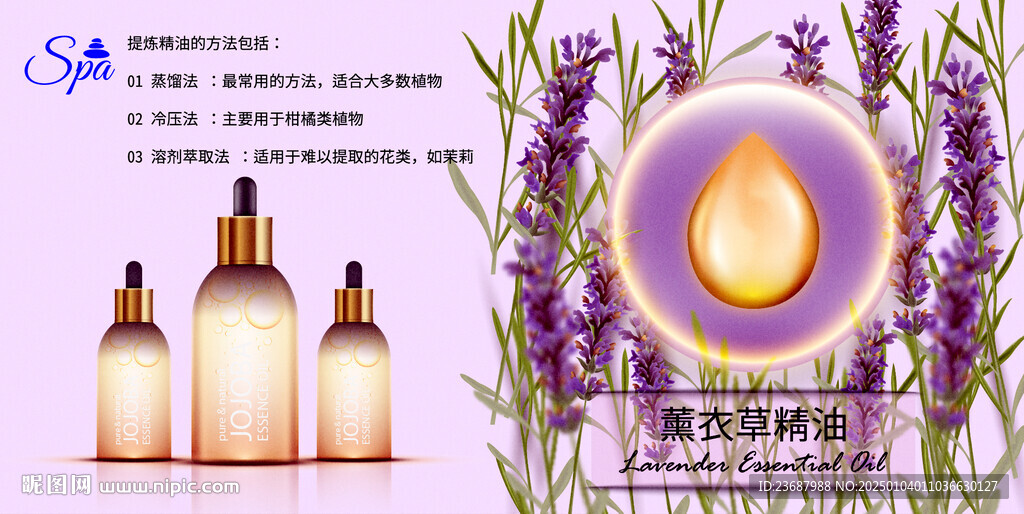 薰衣草精油海报