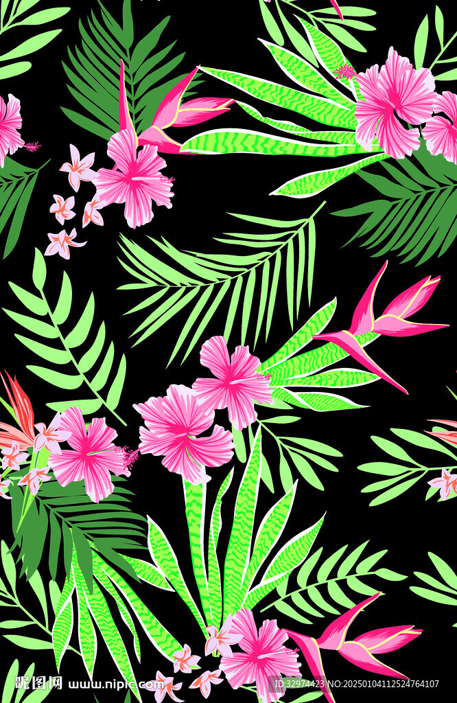 热带花