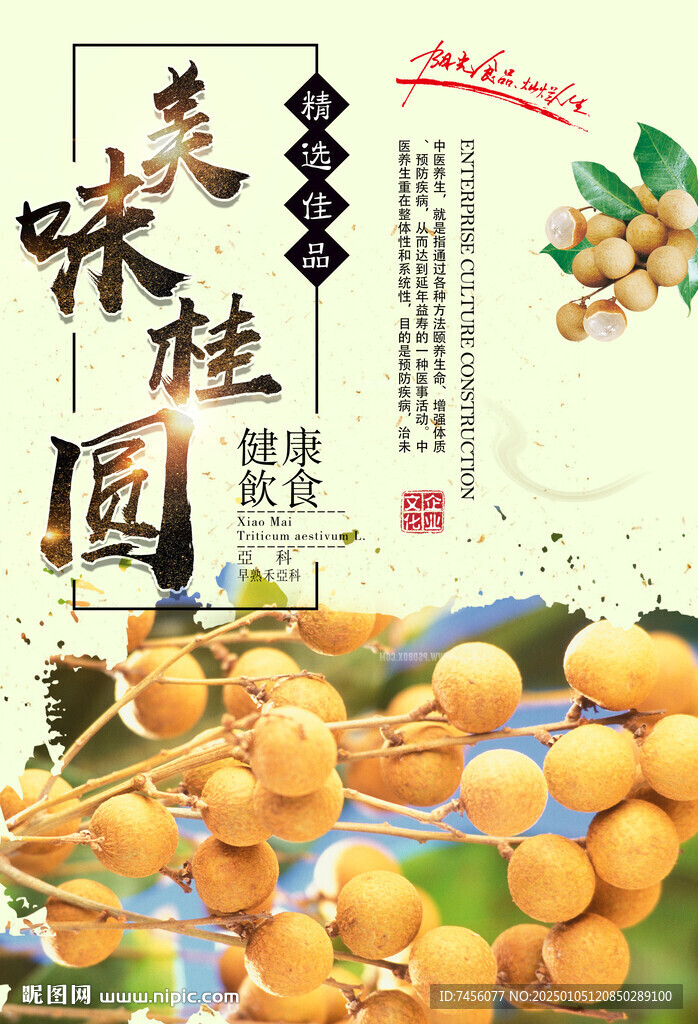 桂圆海报设计模板