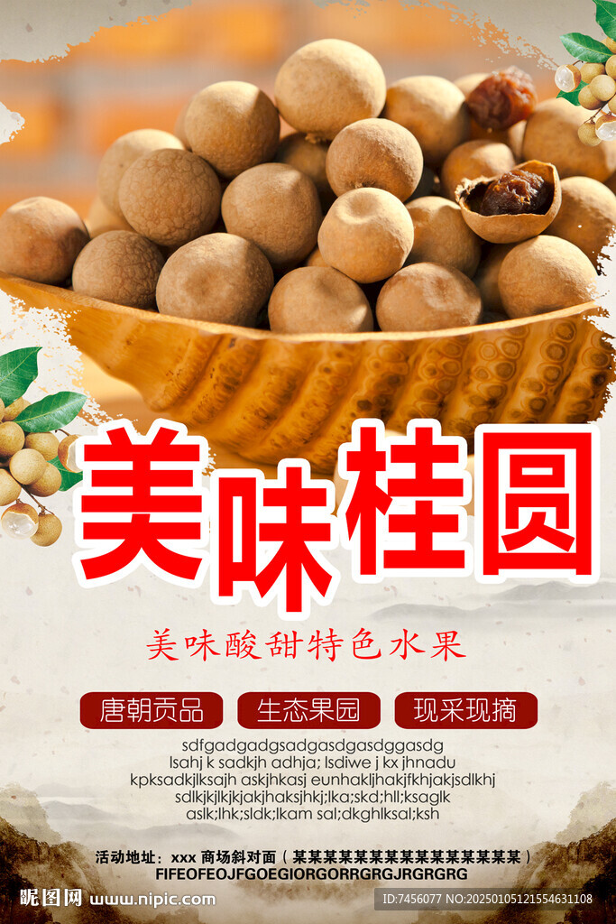 美味桂圆海报设计模板