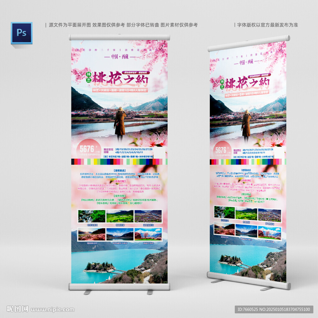 林芝桃花旅游易拉宝海报