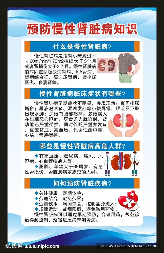 世界肾脏日海报