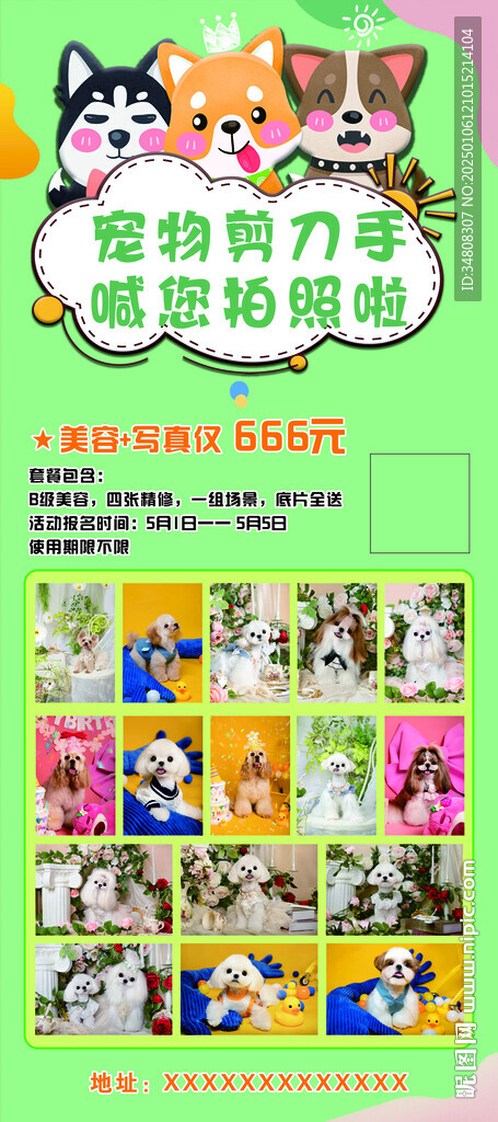 宠物美容展架猫狗图片