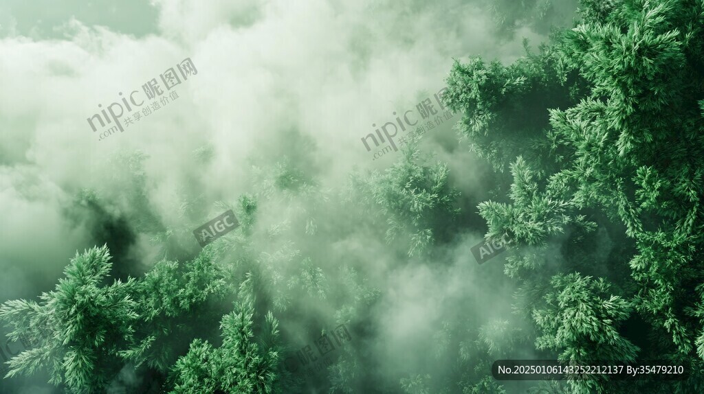 绿色林海云雾