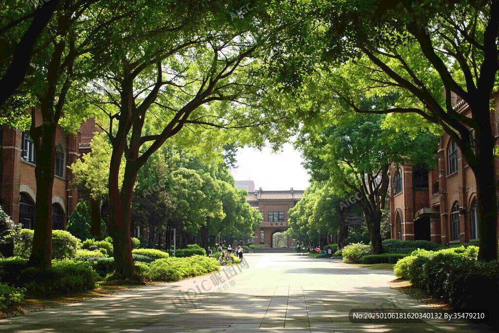 立信大学