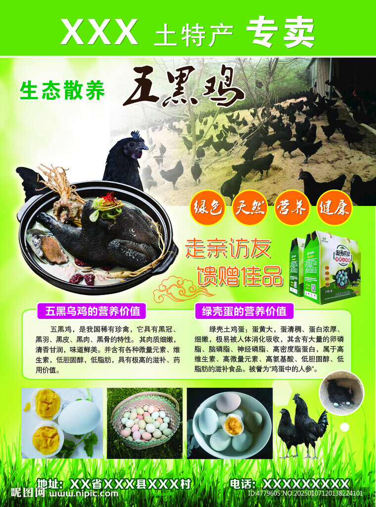 五黑鸡 鸡蛋 土特产