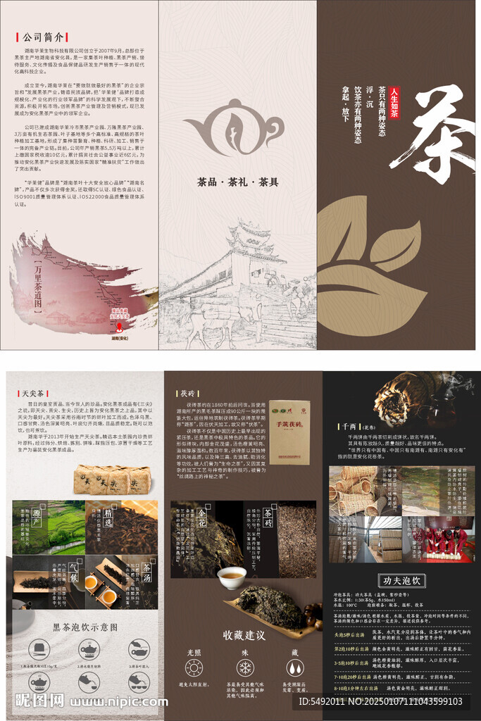 茶叶三折页