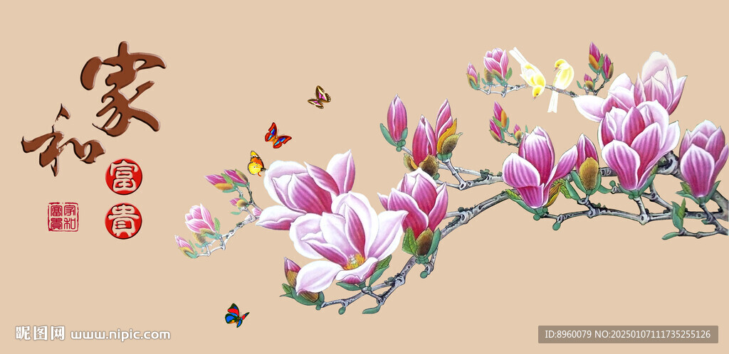 玉兰花