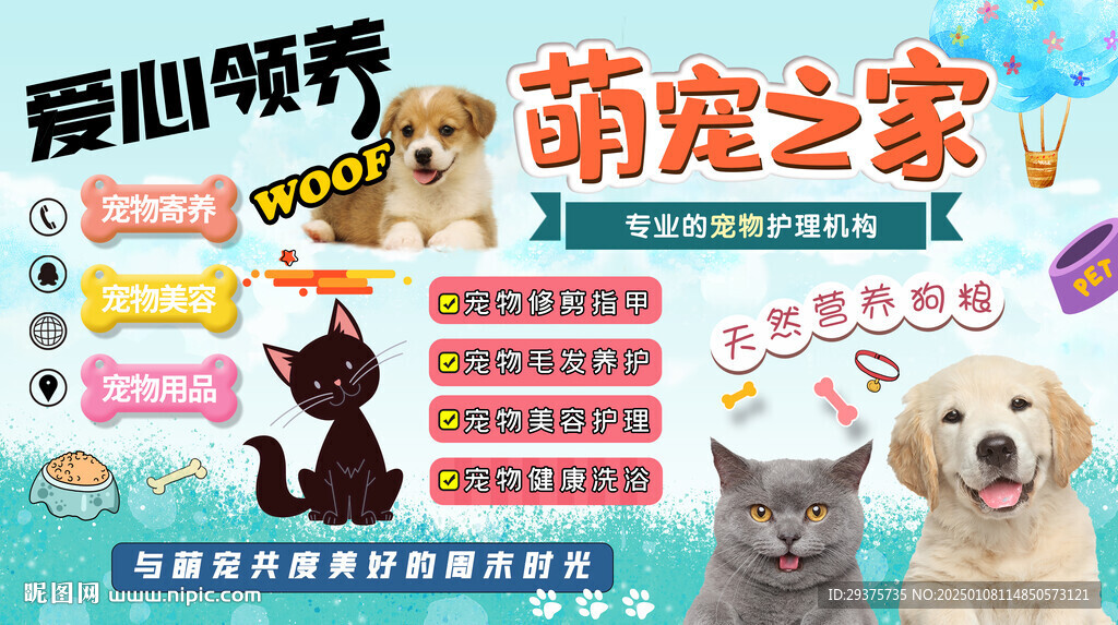 宠物之家背景墙