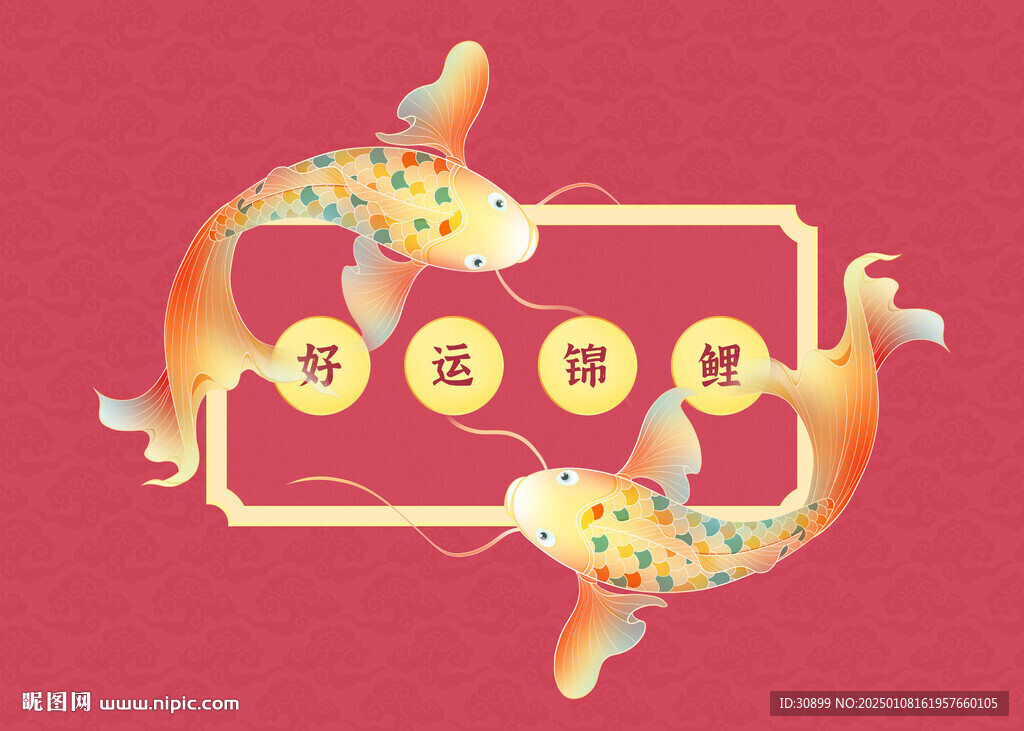 锦鲤盲盒包装插画好运鲤鱼