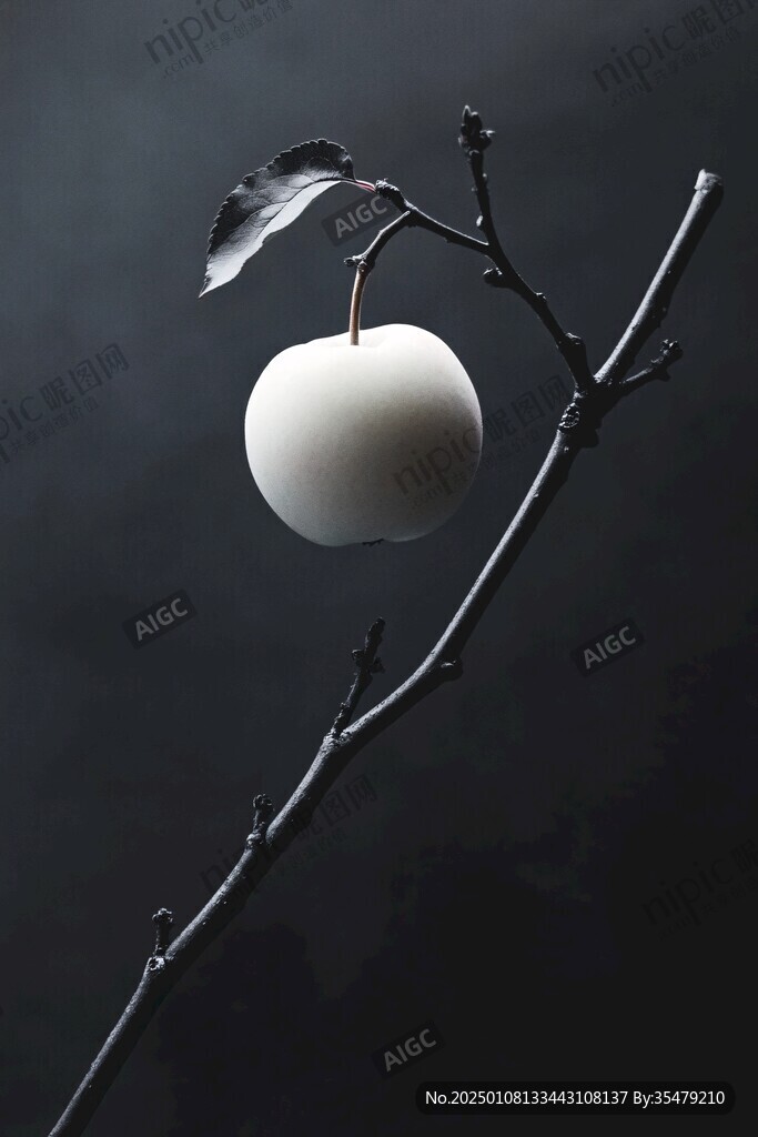 光影白梨