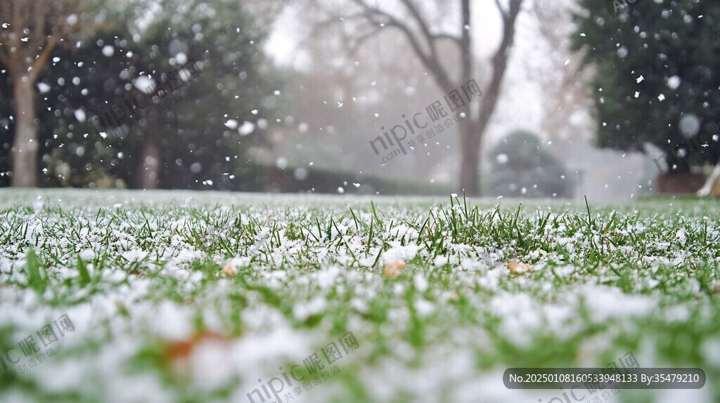 雪花落在草地上