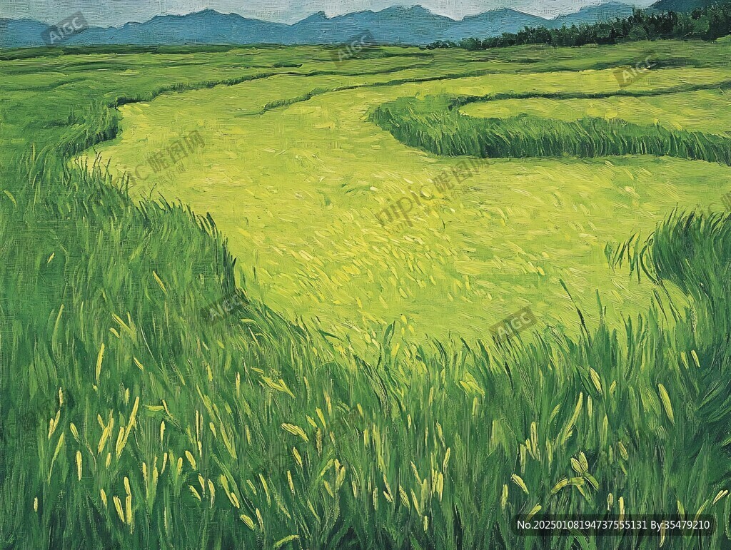 水稻田油画