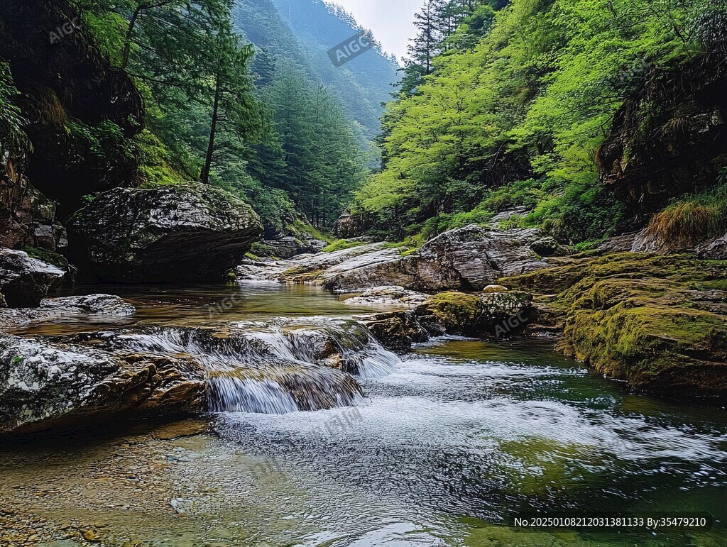 秦岭小河