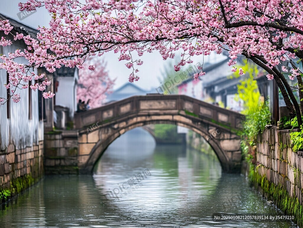 西塘樱花江南民居