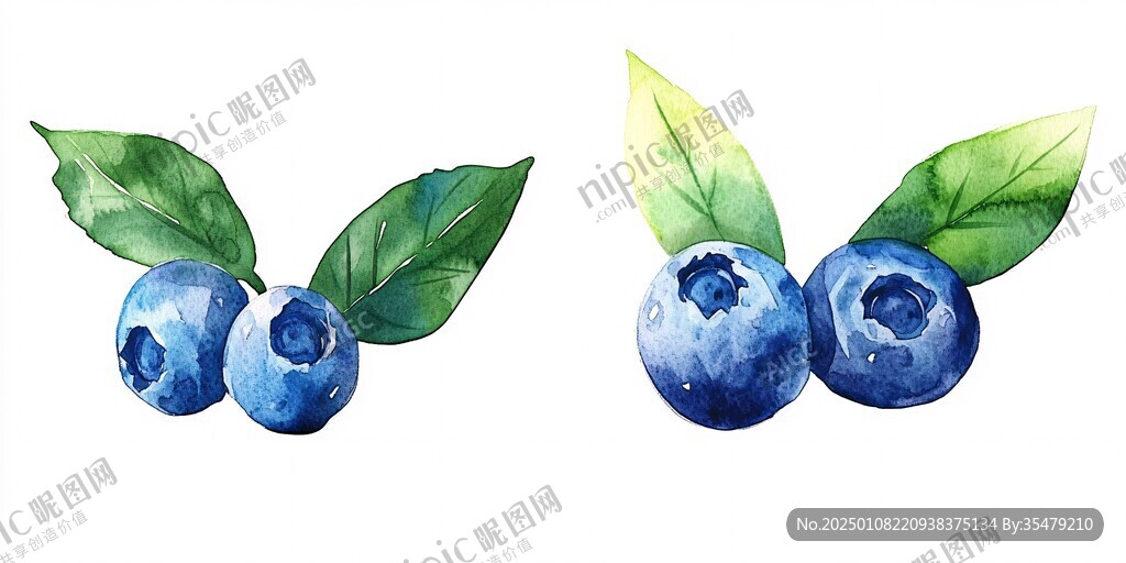 原创蓝莓插画