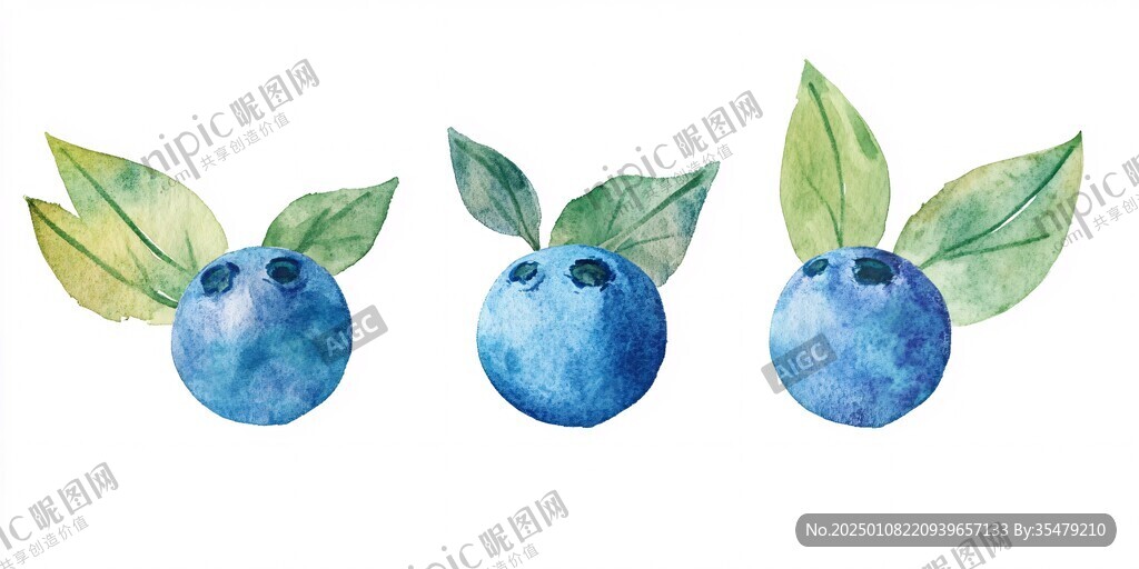 原创蓝莓插画