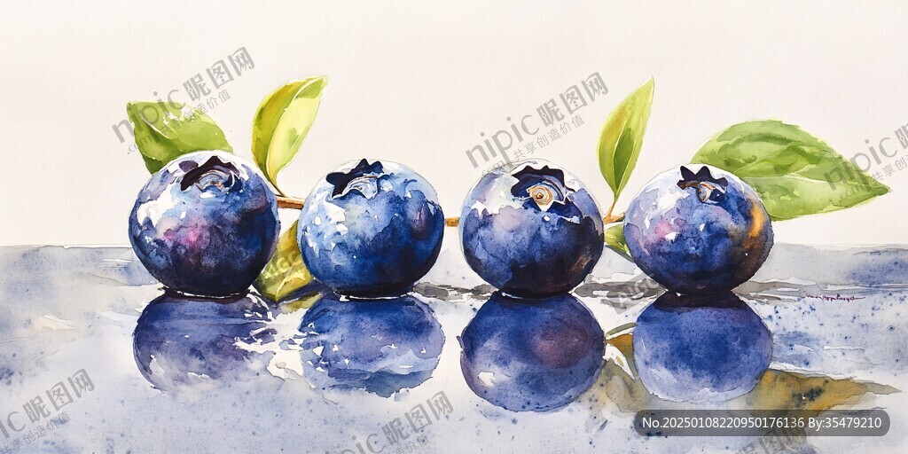 原创蓝莓插画