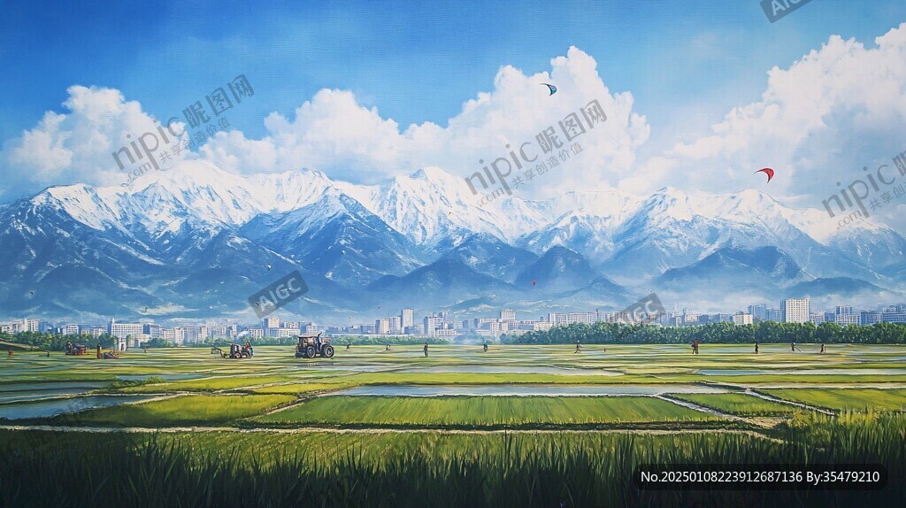 稻田大场景