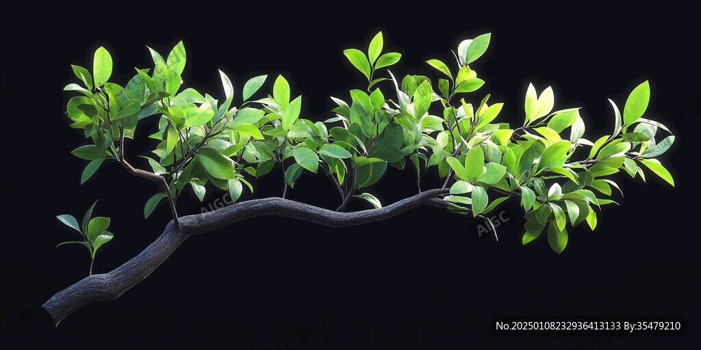 3dmax植物