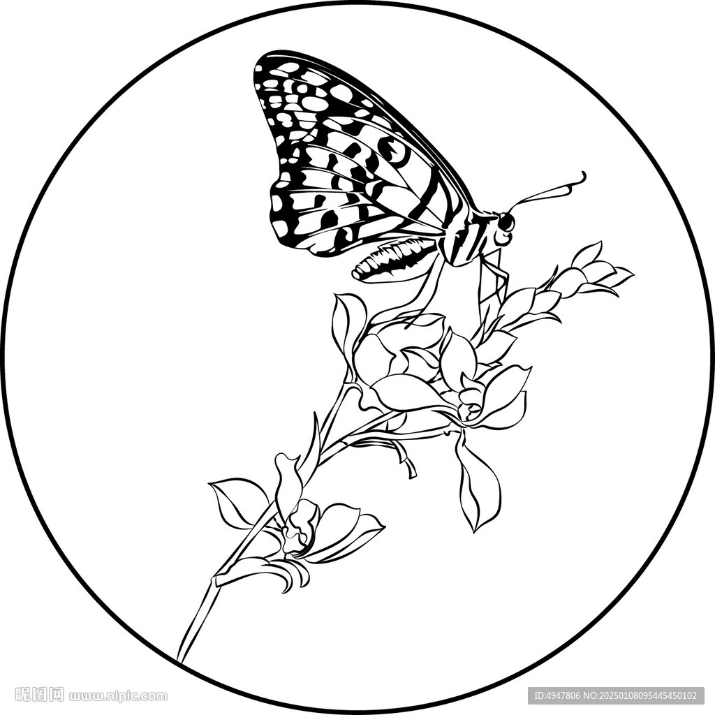 蝴蝶 花 矢量图