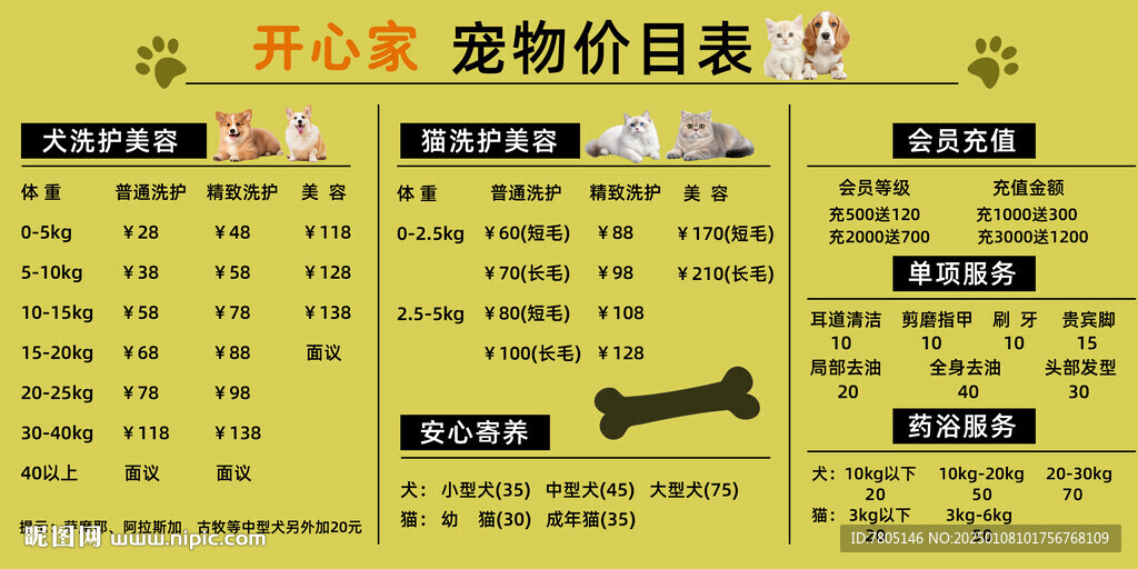 宠物护理