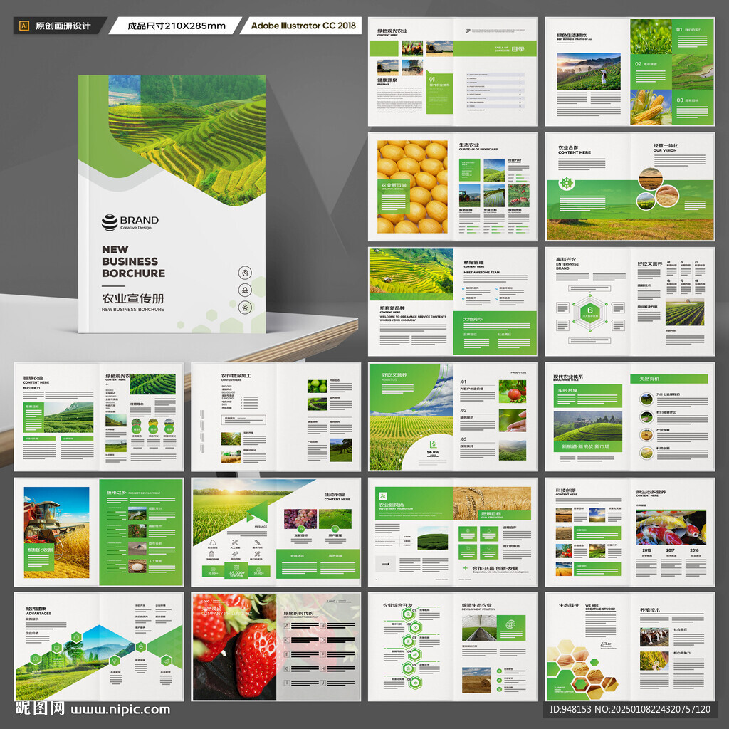 农业科技画册