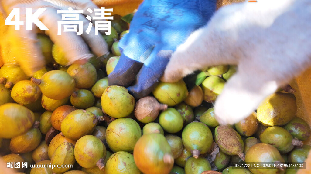 丰收的喜悦