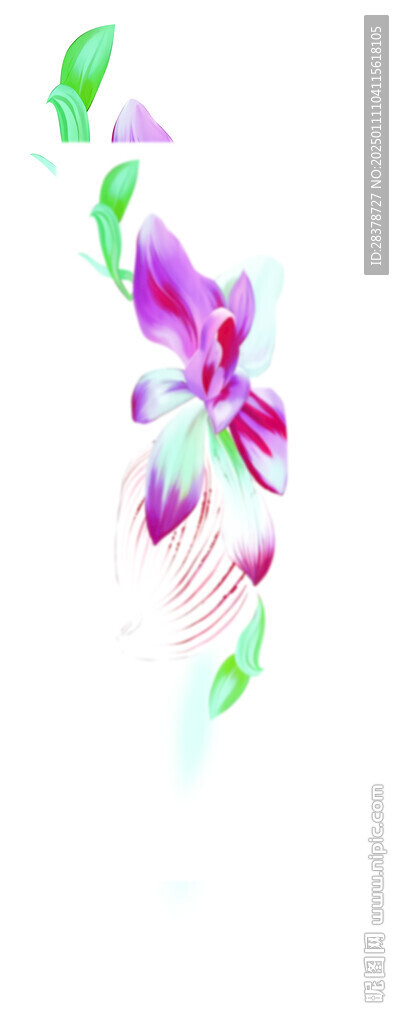 定位花
