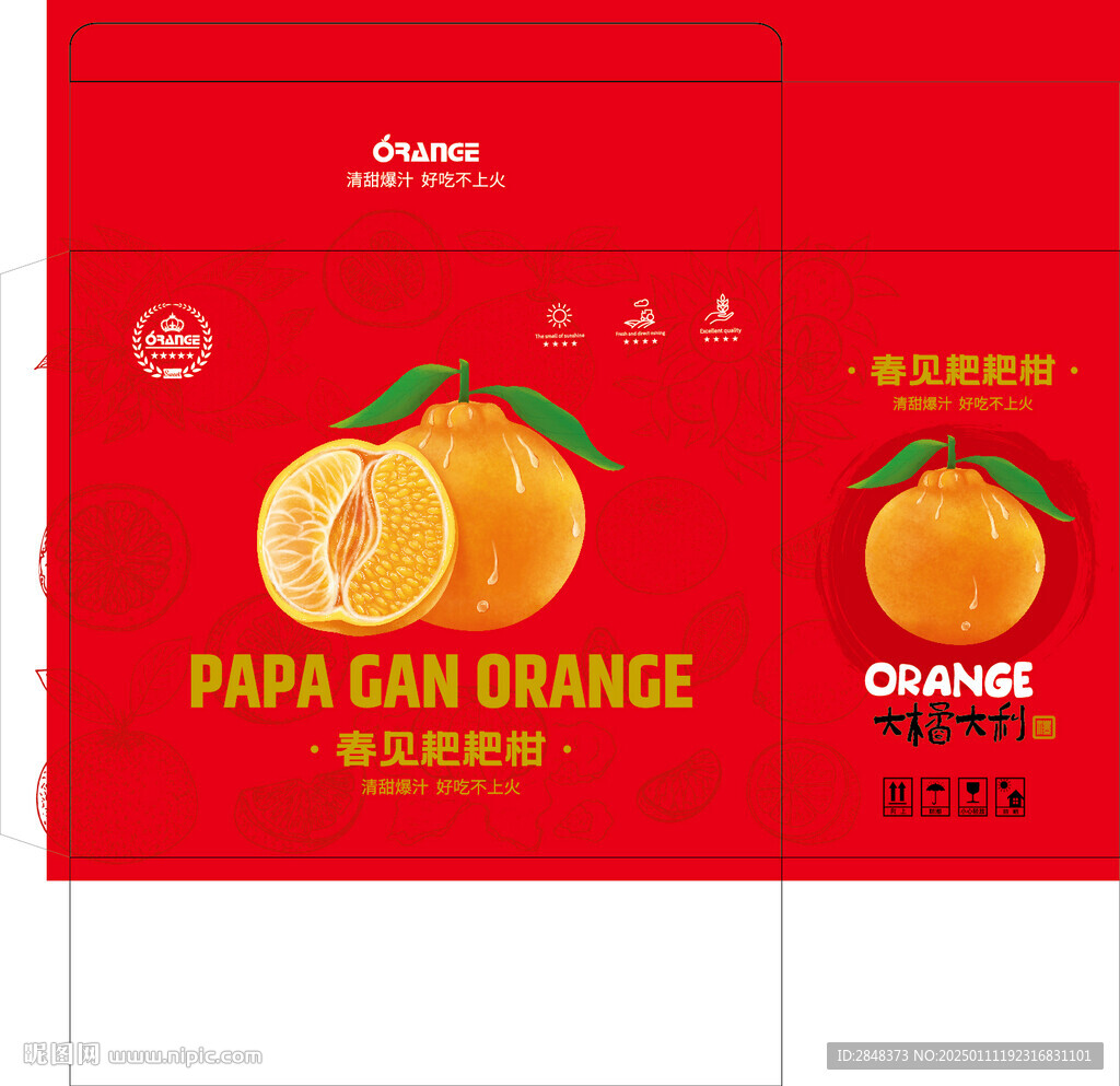 手提春见耙耙柑包装平面展开图
