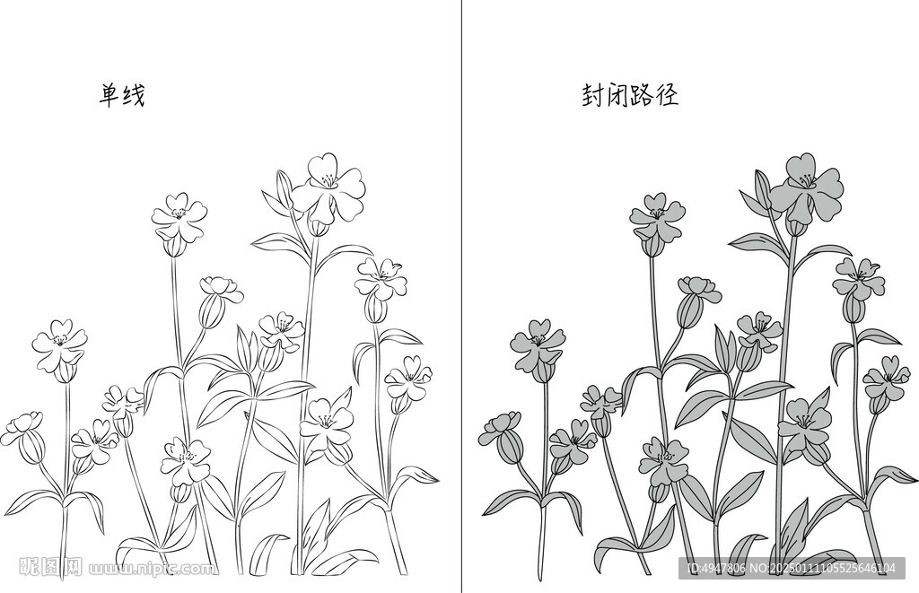 花 矢量图