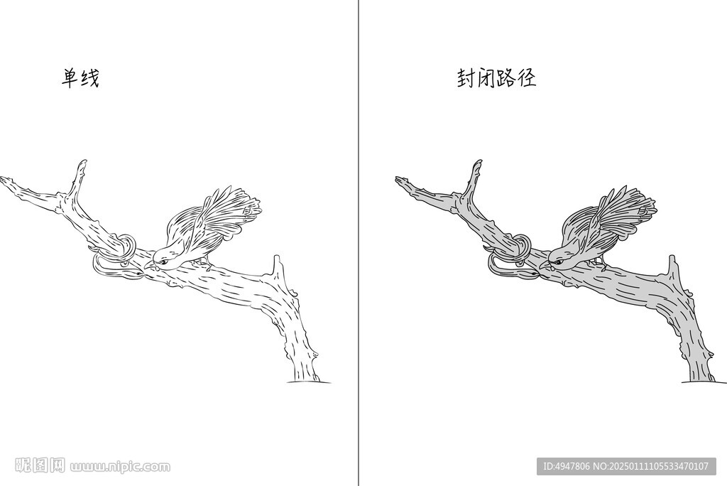鸟与蛇 矢量图