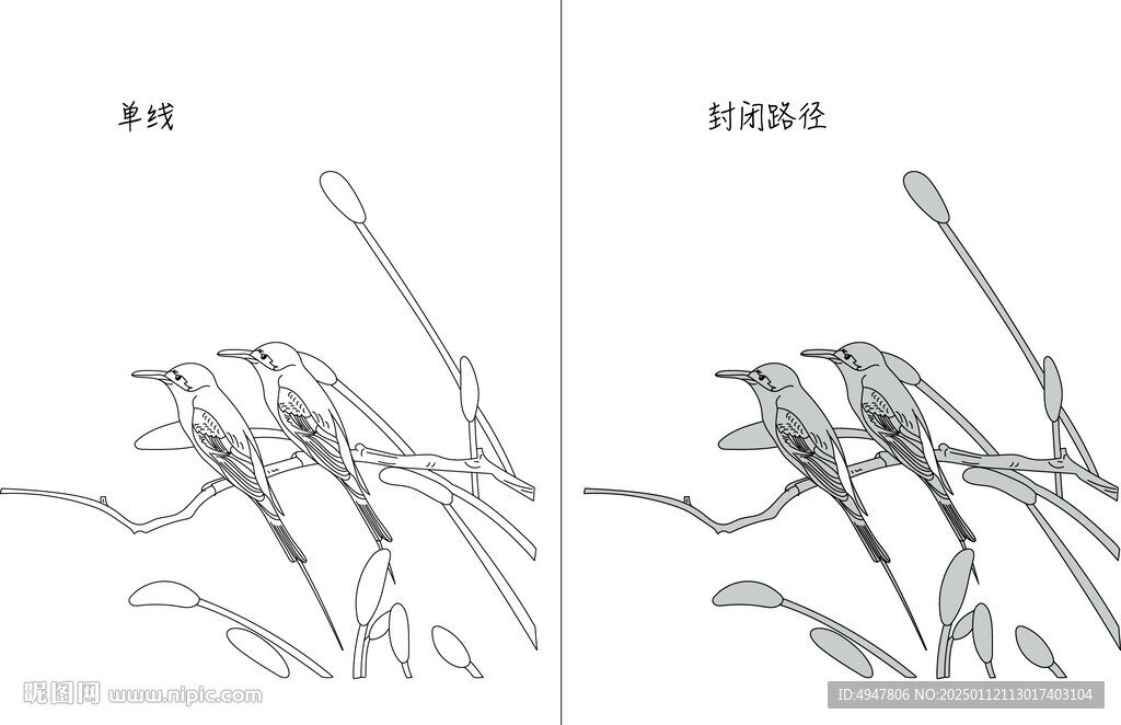 鸟 矢量图