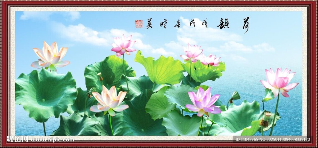 荷韵