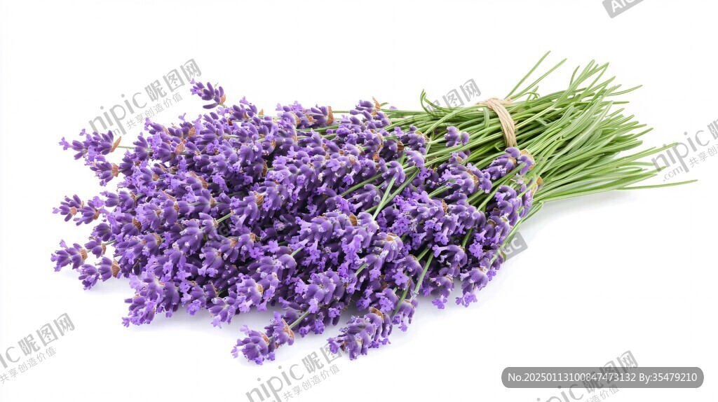薰衣草花粒