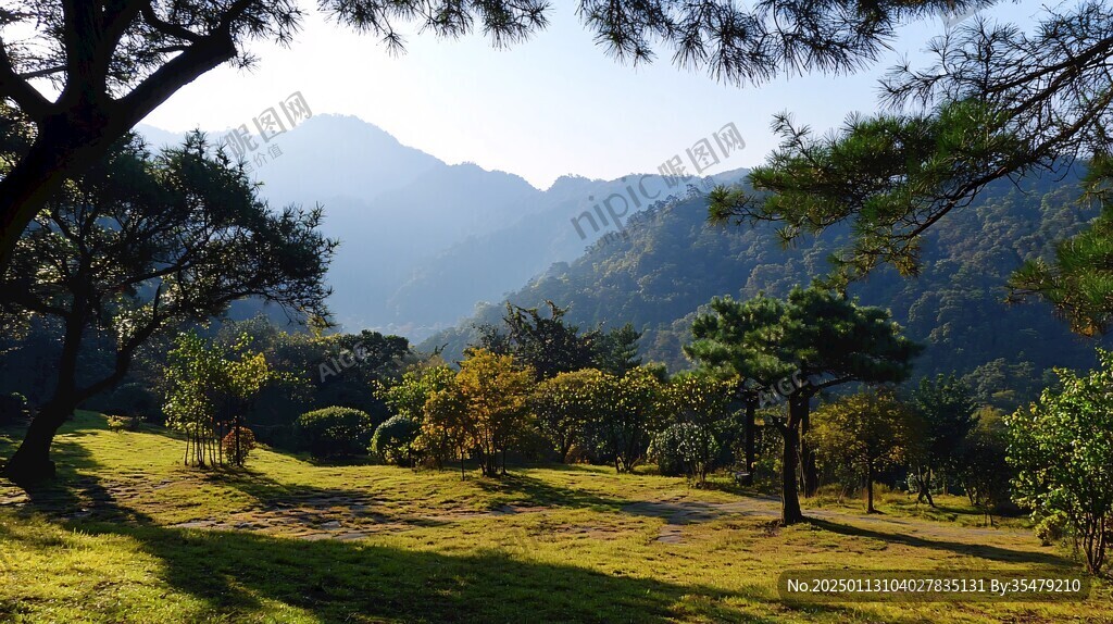 马峦山青松