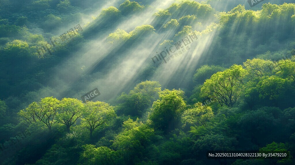 自然风景阳光光线