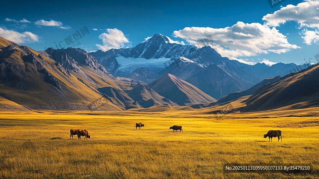 卓尔山背景