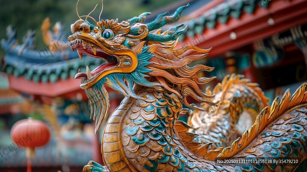 雕龙特写