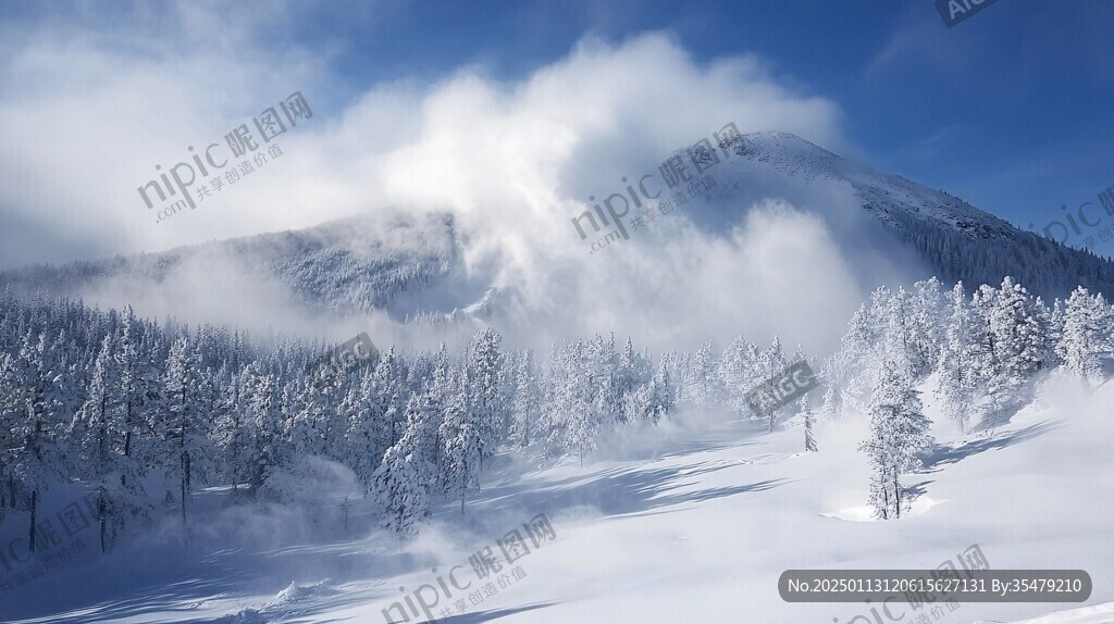 冬日雪景壁纸