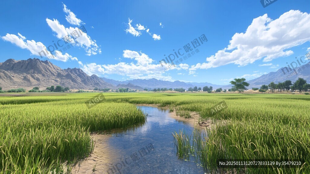 稻田大场景
