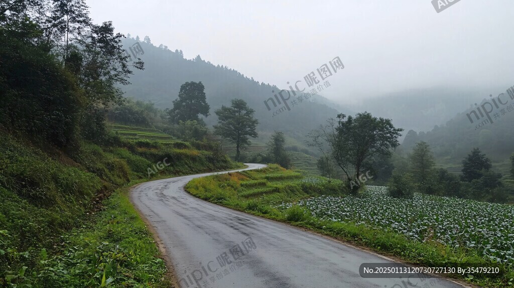 雨后乡间小路