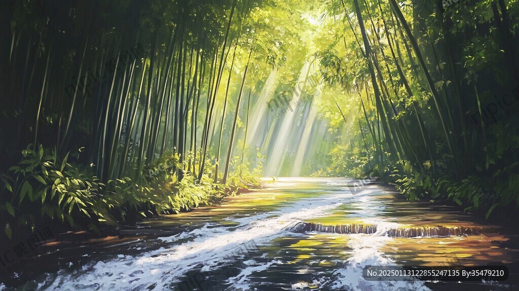 阳光竹林小溪