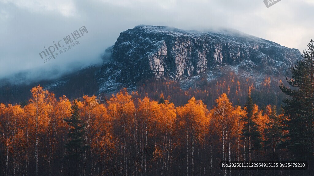 森林云雾深山秋色
