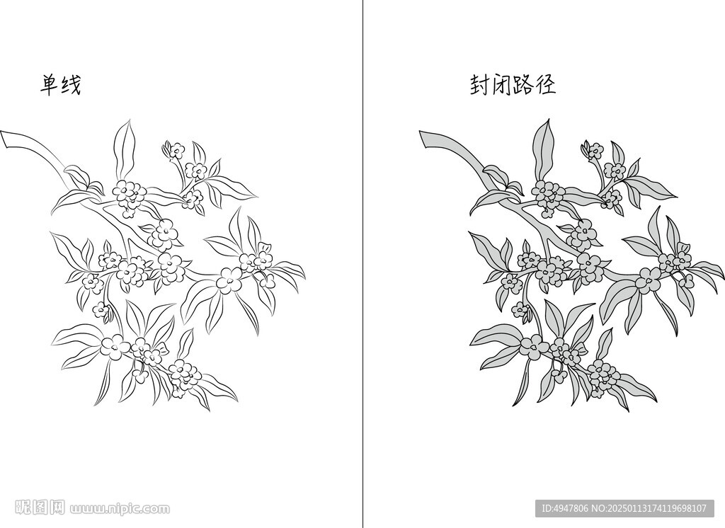 桂花 矢量图