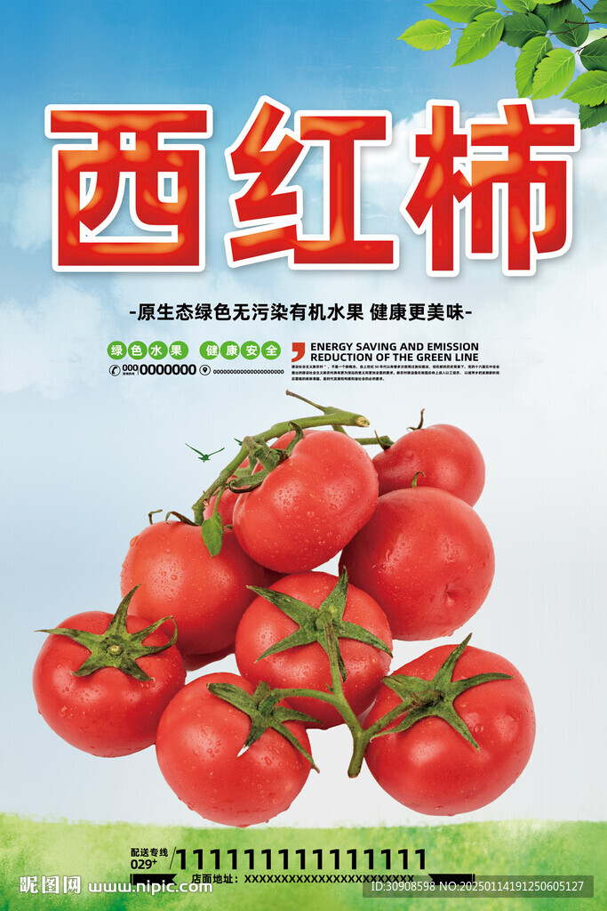 西红柿