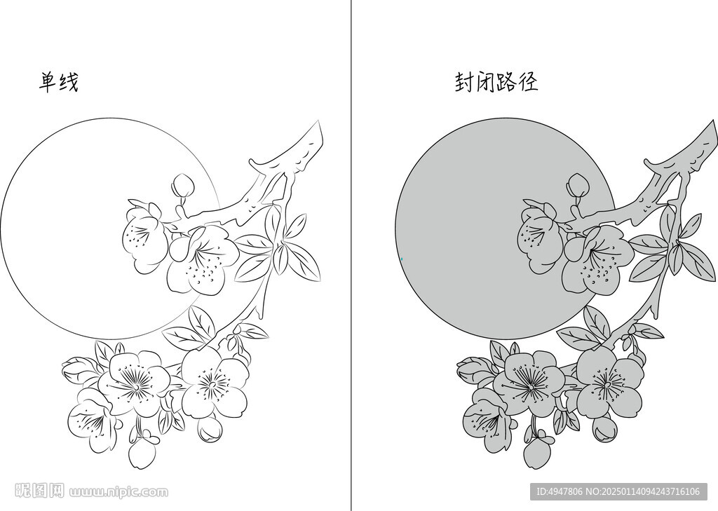 桃花 矢量图