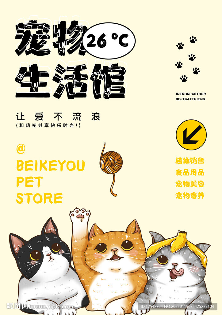 宠物店海报