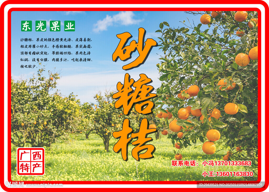 沙糖桔 水果箱标签